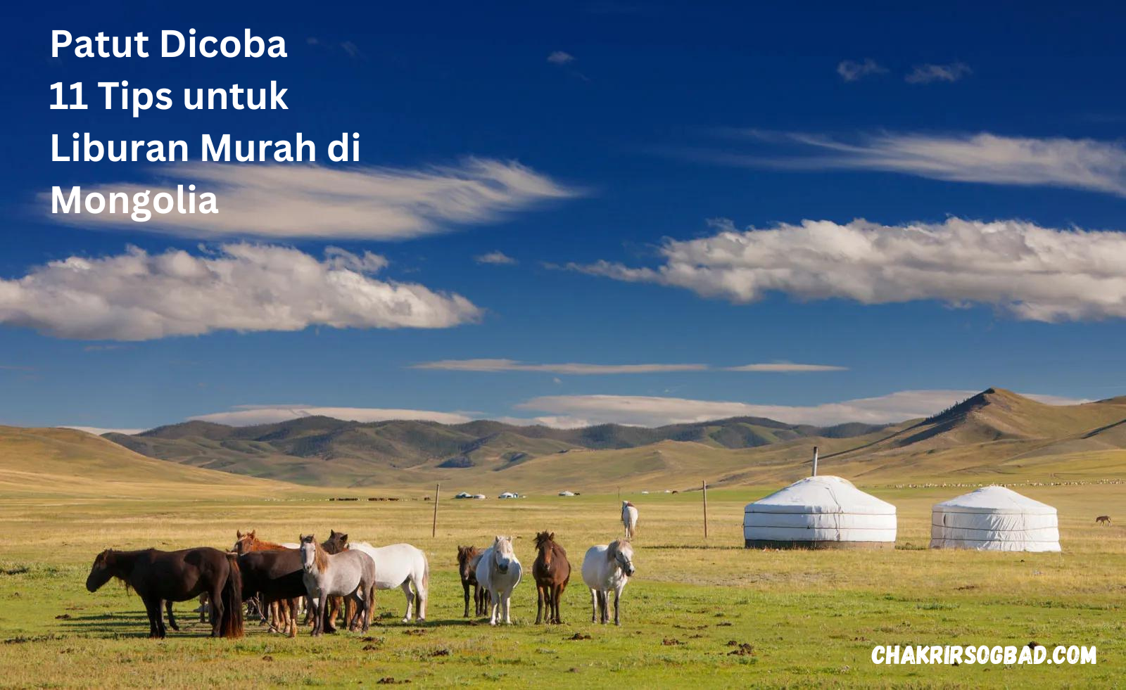 Patut Dicoba,11 Tips untuk Liburan Murah di Mongolia