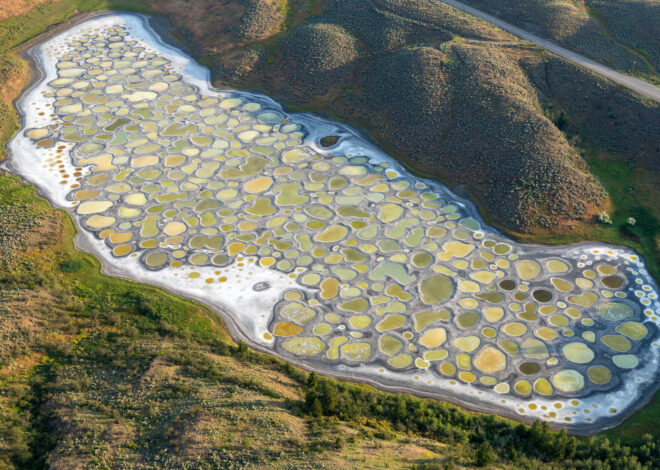 Spotted Lake Kanada : Tempat Wisata Unik dan Menakjubkan