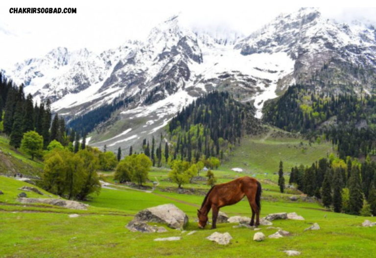 Menjelajahi Keindahan Kashmir