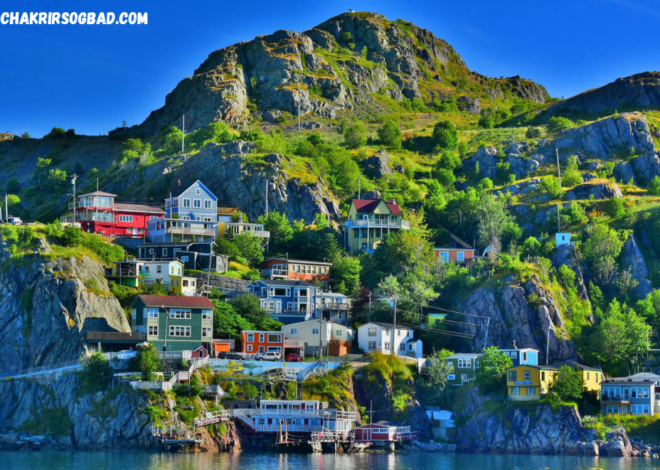 Panduan Perjalanan Menjelajahi Keindahan Newfoundland Kanada