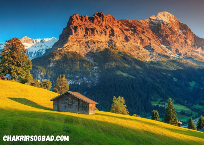 Surga Tersembunyi Lainnya yang Memukau di Grindelwald – Swiss