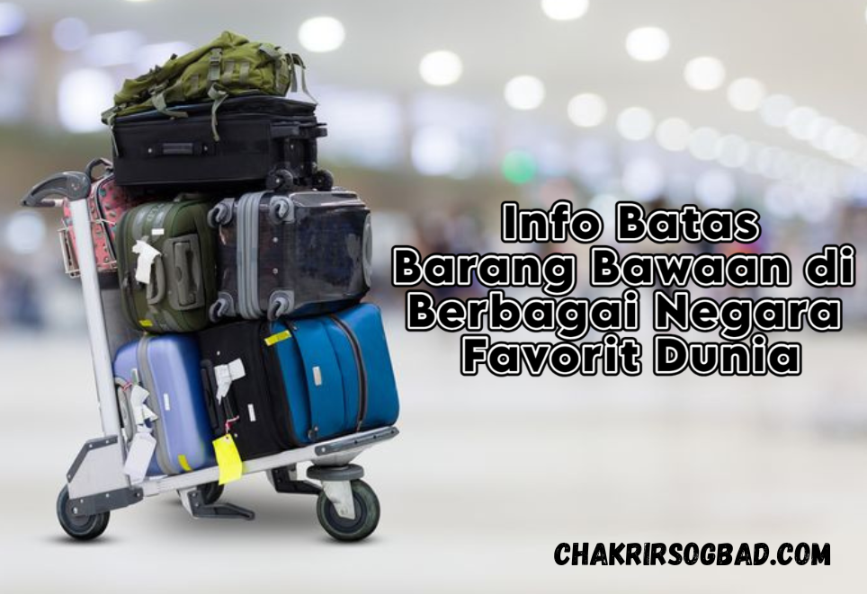 Info Batas Barang Bawaan di Berbagai Negara Favorit Dunia