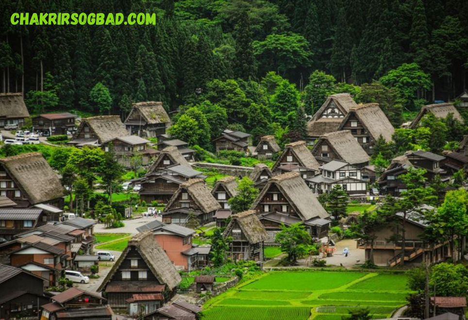 Panduan Lengkap Tips Perjalanan Wisata ke Ogimachi Jepang