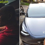 Deddy Corbuzier Seorang Penggemar Mobil